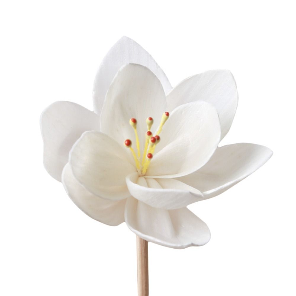 Home Fragrance Incense Sticks - أعواد عطرية إبداعية يدوية الصنع بطول